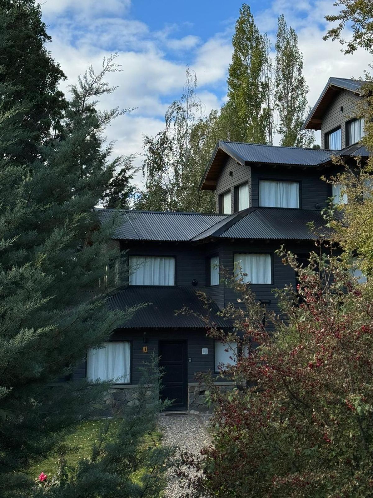 San Martín de los Andes Huilen De Bandurrias 빌라 외부 사진