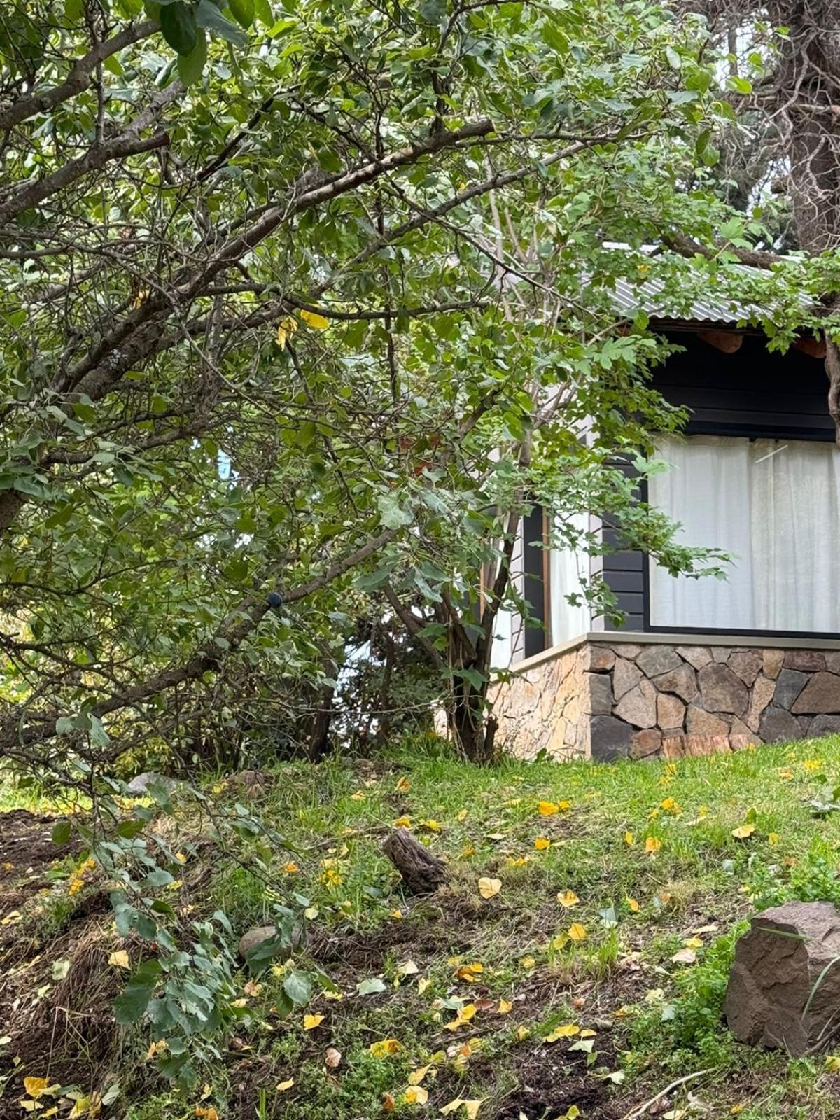 San Martín de los Andes Huilen De Bandurrias 빌라 외부 사진